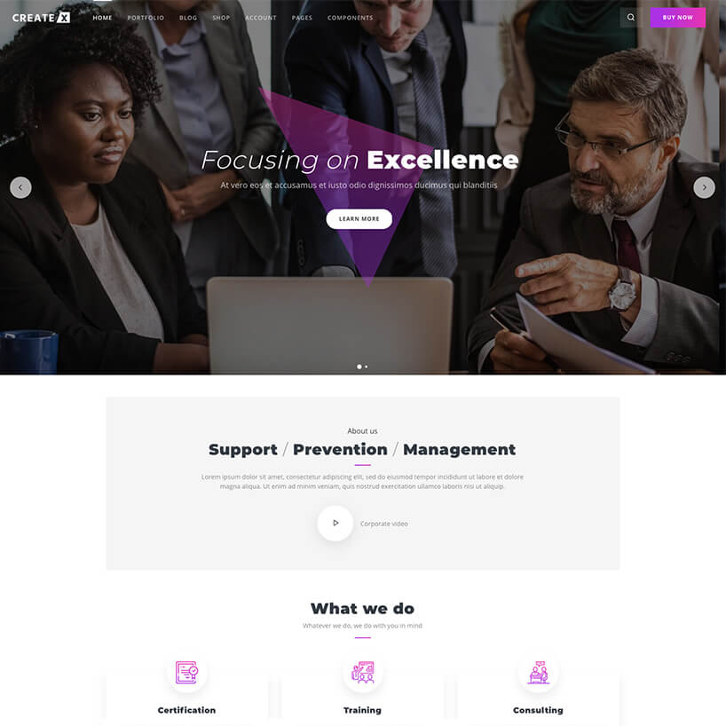 Corporate Website